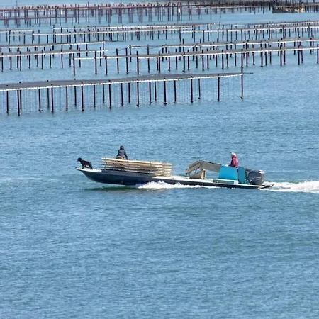 L'escale Enchantee Appartement *