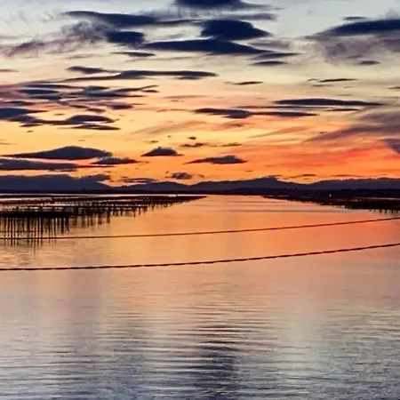 L'escale Enchantee Daire Bouzigues