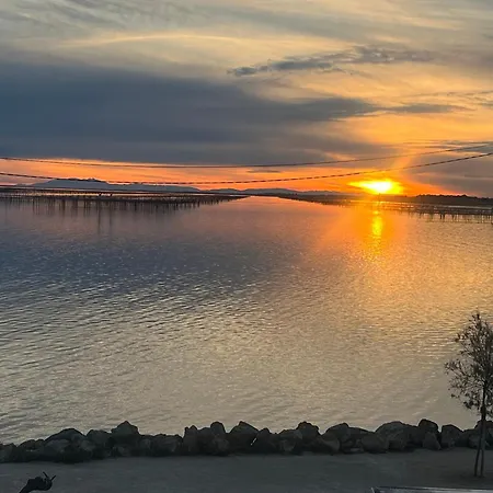 Daire L'escale Enchantee Bouzigues