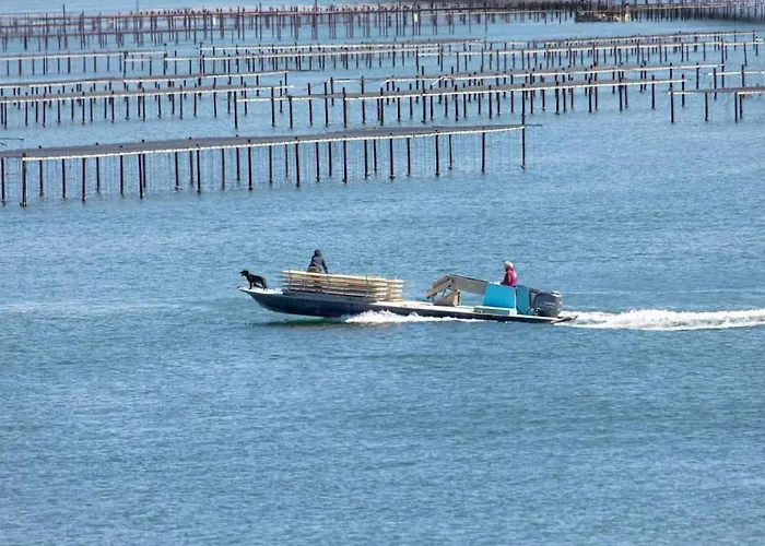 L'escale Enchantee Lägenhet *