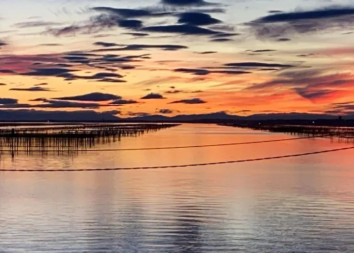 L'escale Enchantee Daire Bouzigues