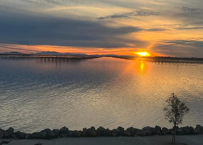 Daire L'escale Enchantee Bouzigues